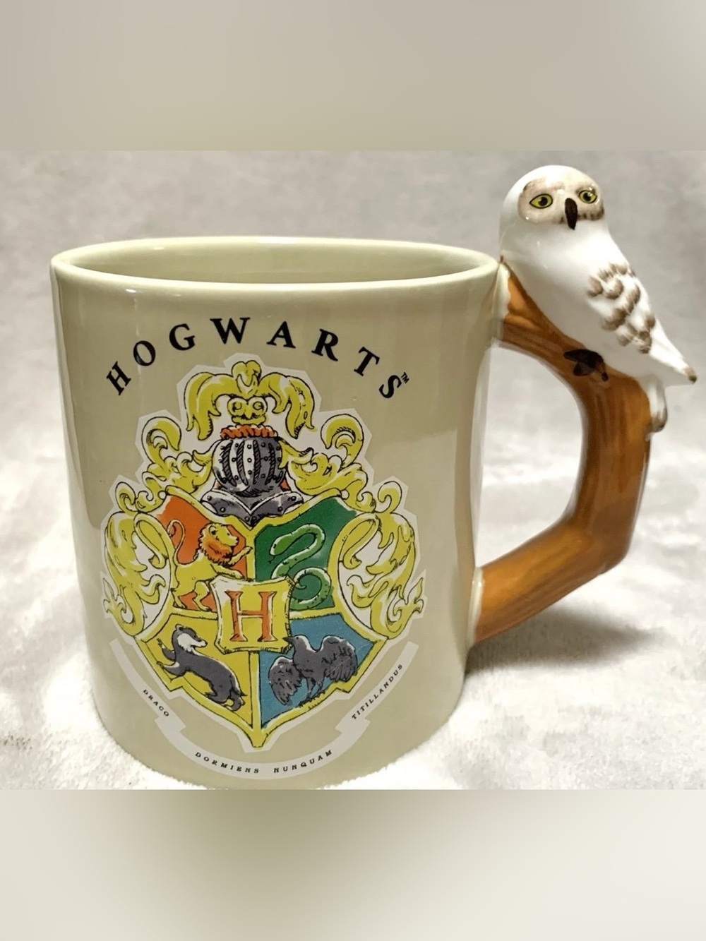 Harry Potter Hogwarts House Crest Draco Dormiens Nunquam